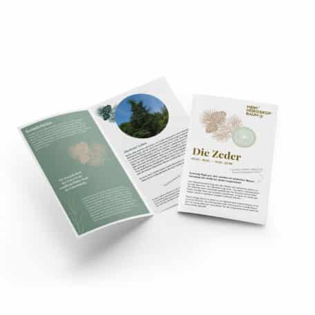 Zeder 09.02.-18.02. & 14.08.-23.08.