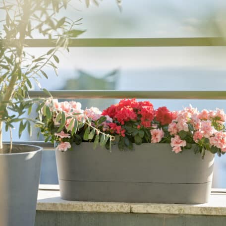 Boum Balkonkasten Pro grau