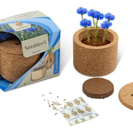 Coupe en liège - bleuet