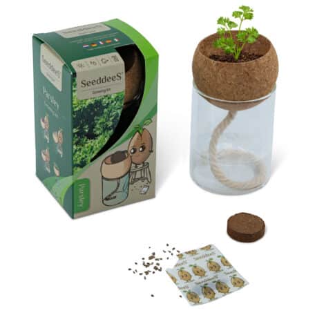 Glasvase mit Korkgefäss - Petersilie