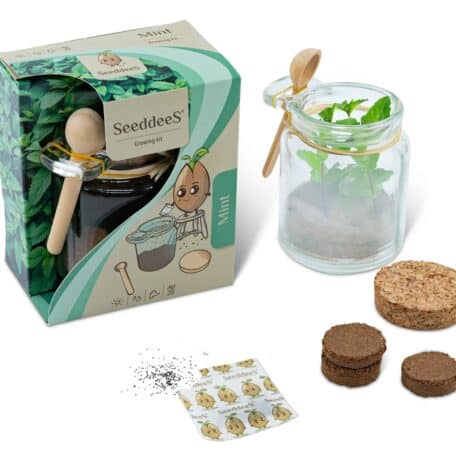 Glasgefäss mit Löffel - Minze