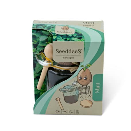 Glasgefäss mit Löffel - Minze