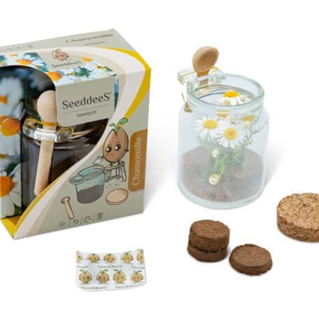 Glasgefäss mit Löffel - Kamille