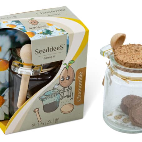 Glasgefäss mit Löffel - Kamille