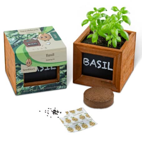 Holzwürfel - Basilikum