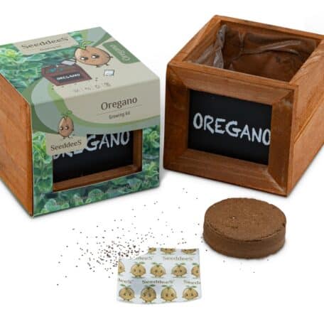 Holzwürfel - Oregano