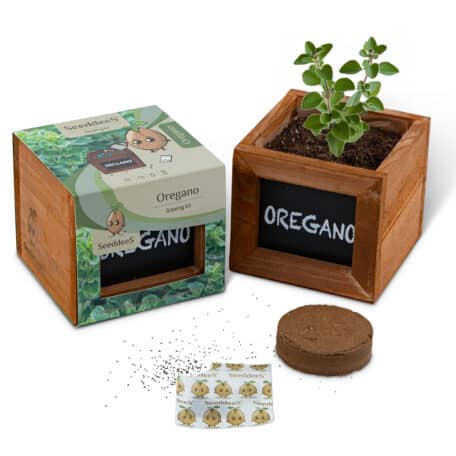 Holzwürfel - Oregano