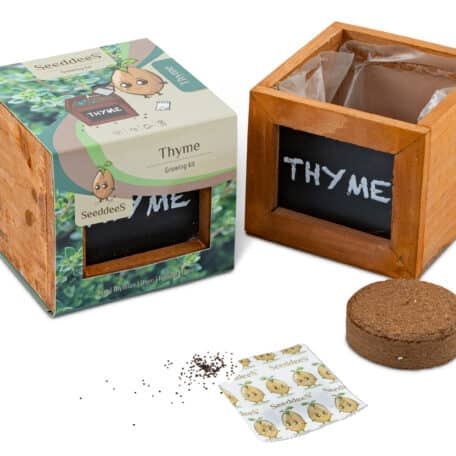 Holzwürfel - Thymian