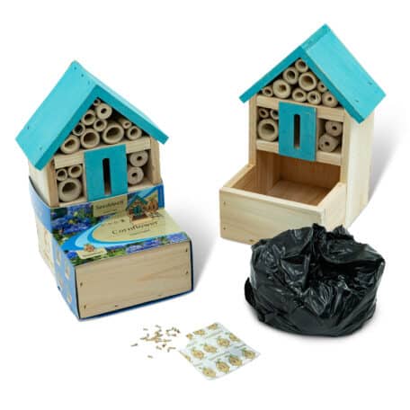 Insektenhotel Fronter - Kornblume