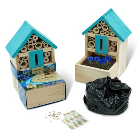 Insektenhotel Fronter - Kornblume