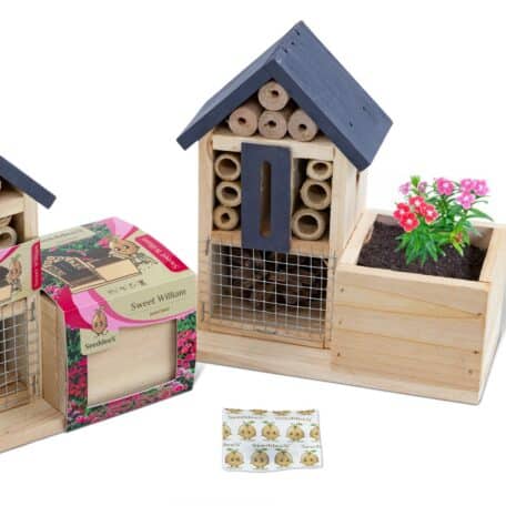 Insektenhotel Side - Bartnelke