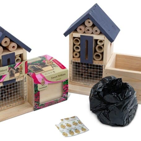 Insektenhotel Side - Bartnelke