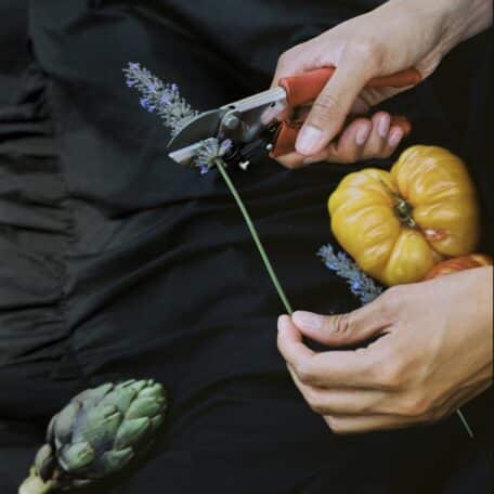 Chop Chop Bloom Gartenschere - Blue Poppy