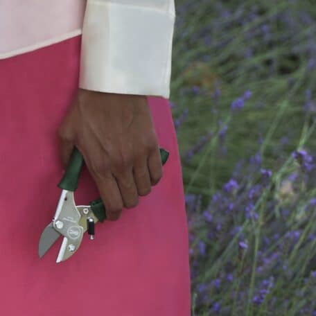 Chop Chop Bloom Gartenschere - Dragon Tree