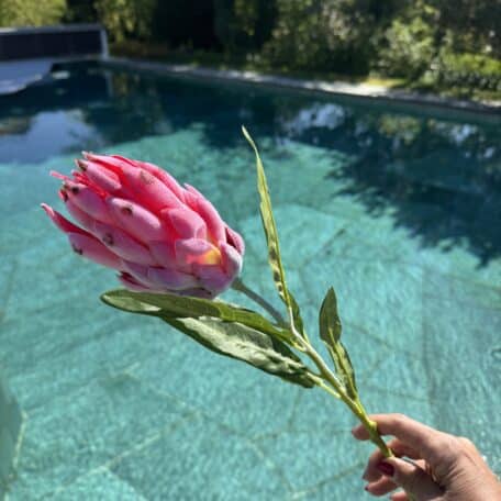 Künstliche Protea Rosa