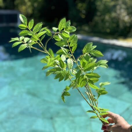 Künstliche Blätter Grün