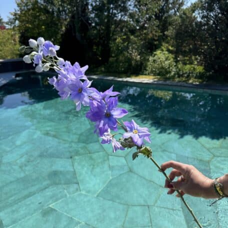 Künstlicher Rittersporn Veilchenblau