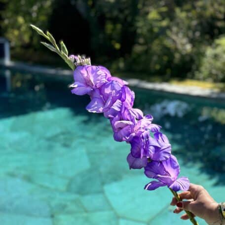 Künstliche Gladiole Lavendel
