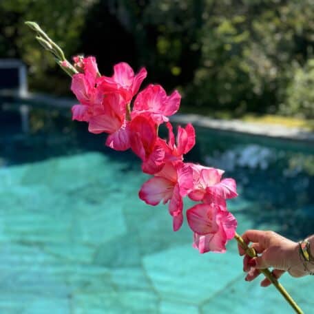 Künstliche Gladiole Pink