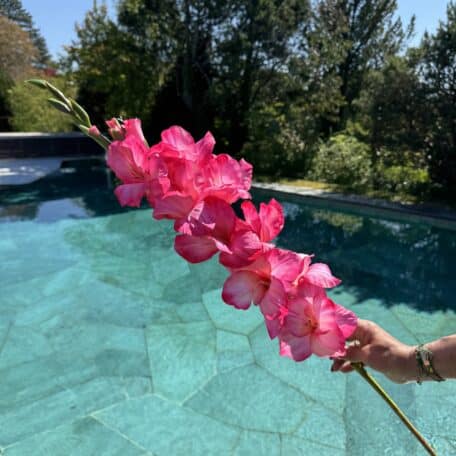 Künstliche Gladiole Pink