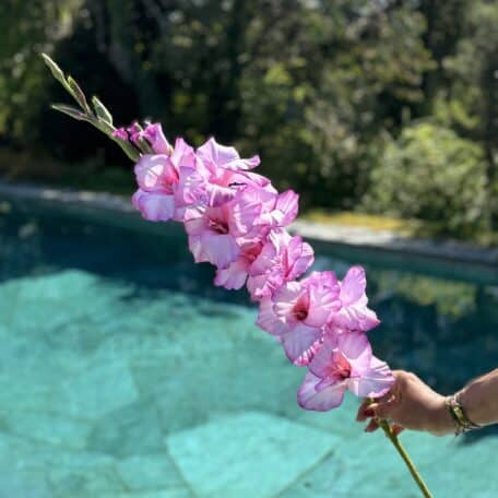 Künstliche Gladiole Rosa