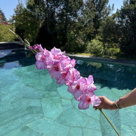 Künstliche Gladiole Rosa