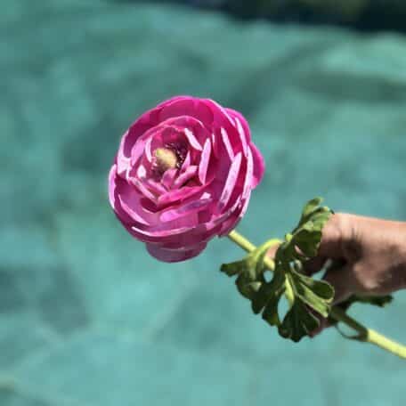 Künstlicher Hahnenfuss Zweig Rosa