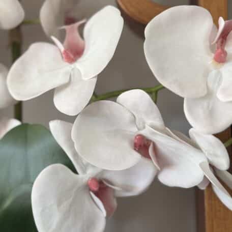 Künstliche Orchideen in Topf eingepflanzt weiss