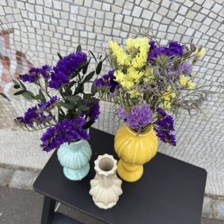 Set de vases et de fleurs séchées 