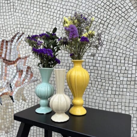 Set de vases et de fleurs séchées 