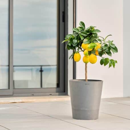 Boum Topf 15 L Pro grau