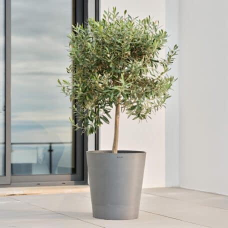 Boum Topf 30L Pro grau