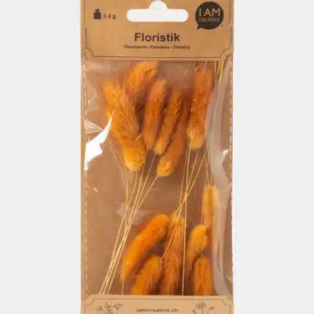 Lagurus getrocknet, Ocker