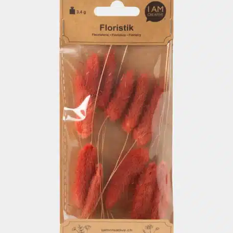 Lagurus getrocknet, Rot/Braun