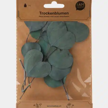 Eucalyptus getrocknet, Dunkelblau