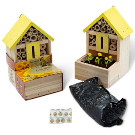 Insektenhotel Fronter - Saat Wucherblume