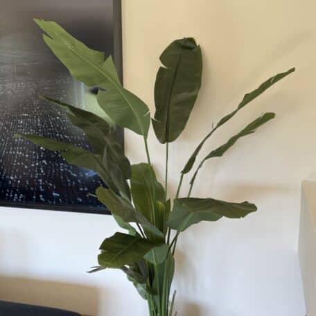 Künstliche Strelitzie