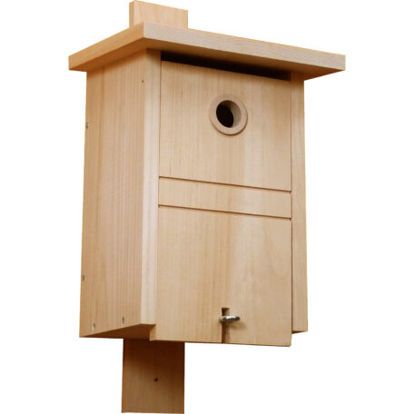 Meisennistkasten natur FSC