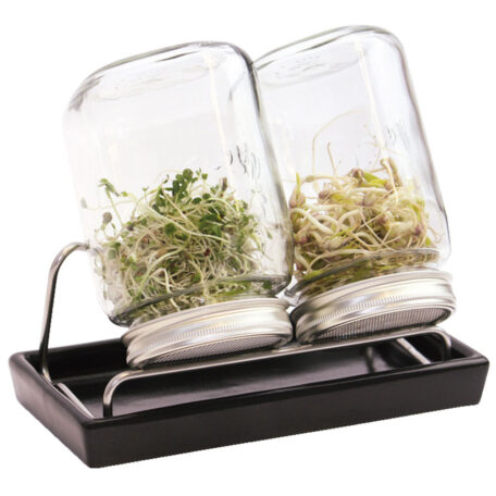 2er Set Sprossenglas 1000ml - Schale anthrazit