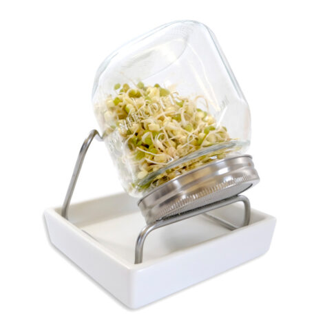 Sprossenglas, 750ml - Schale weiss