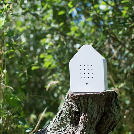 Détecteur de mouvement boîte à gazouillis blanc