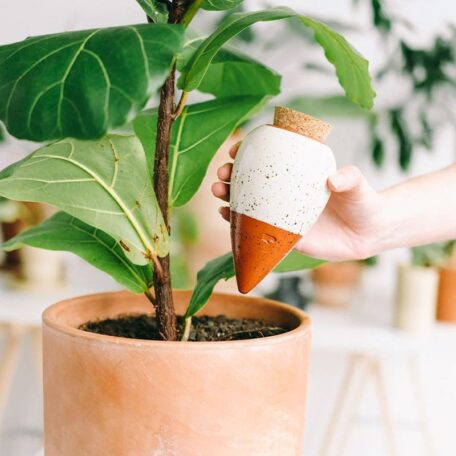 Cône d'arrosage Olla Blanc