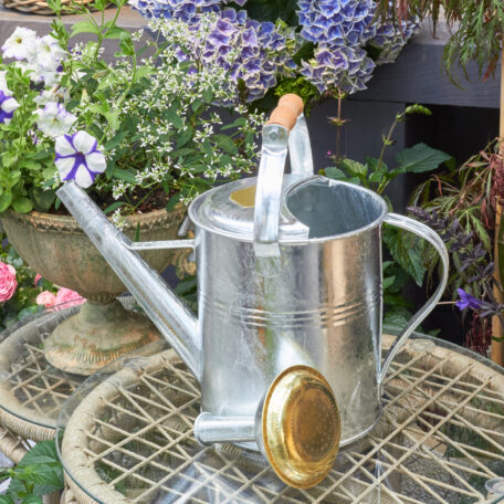 Giesskanne 5l 'Holzgriff' Zink