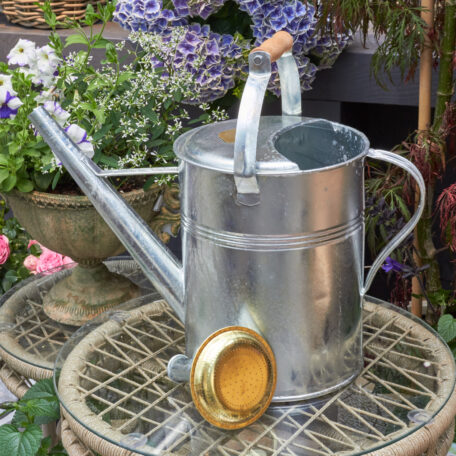 Giesskanne 9l 'Holzgriff' Zink
