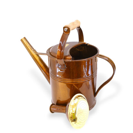 Giesskanne 5l 'Holzgriff' Carina