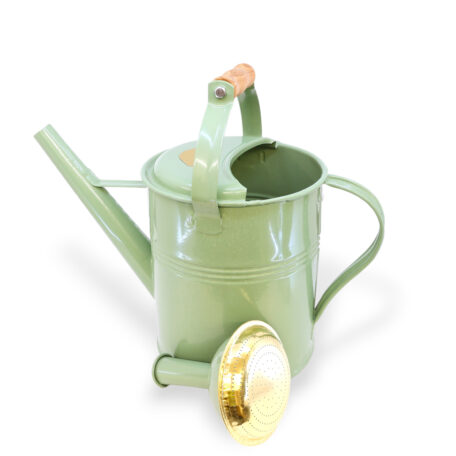 Giesskanne 5l 'Holzgriff' Blassgrün
