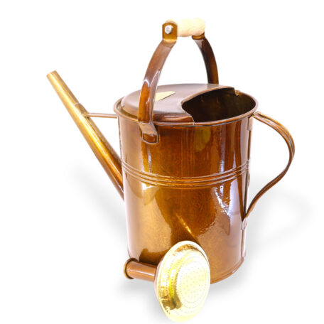 Giesskanne 9l 'Holzgriff' Carina