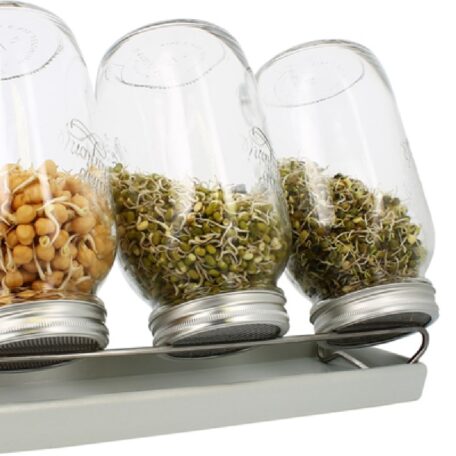 3er Set Sprossenglas 1500ml - Schale weiss