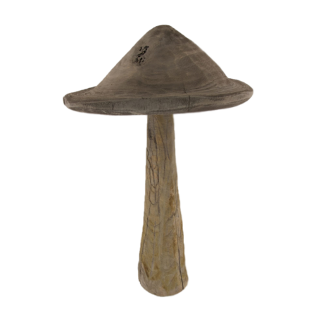 Champignon Chestnut grand