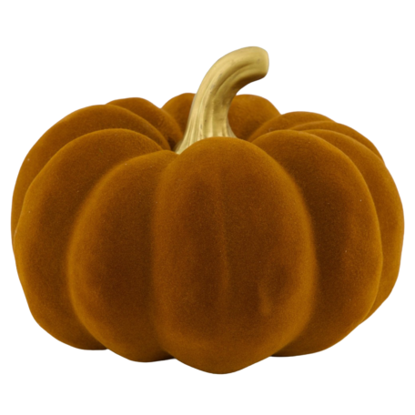 Kürbis Ponki gross